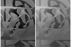 Collage_20251014_173500