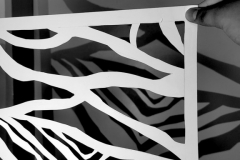 IMG_20251014_121302_edit_523041912498286