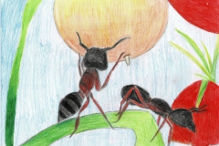 Nelinka Ant 600dpi