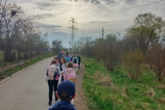 a3831fcf-38c1-45ce-bdc5-144037dece08-1_all_77046