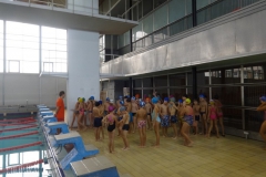 DSC07061