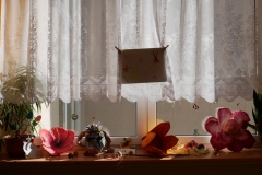 P1030724