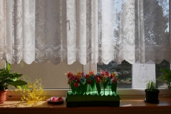 P1030726