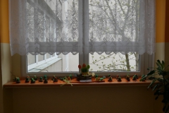P1030736