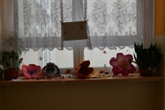 P1030751