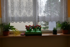 P1030753